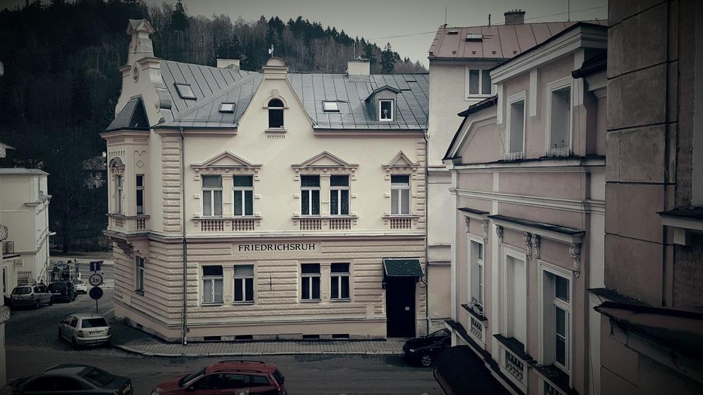 Apartman Lidicka Daire Mariánské Lázně Dış mekan fotoğraf